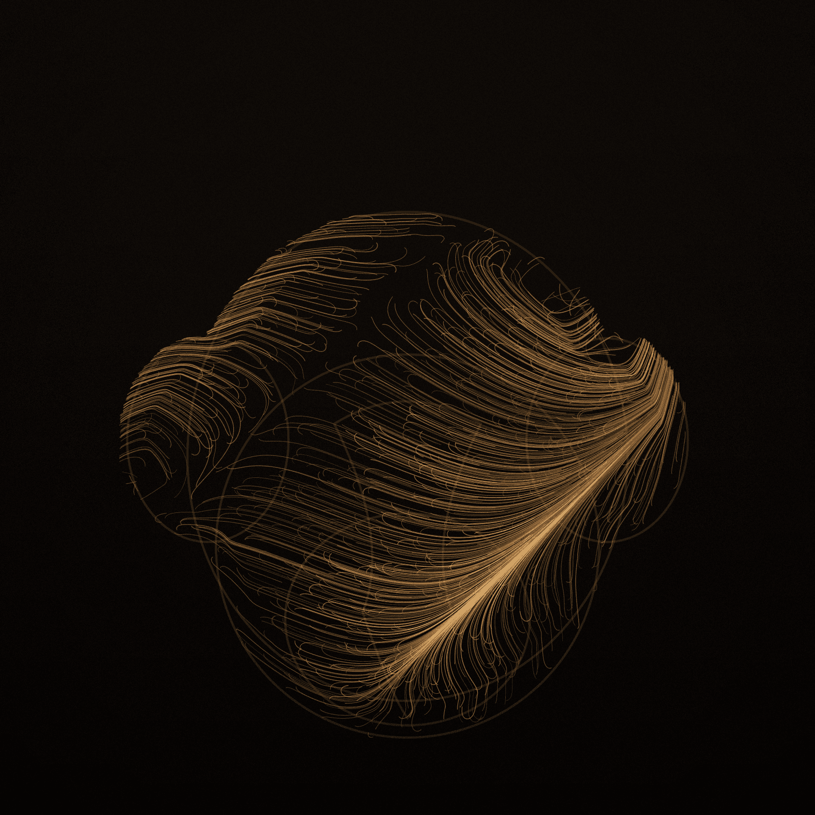 Nasalis Flow #11