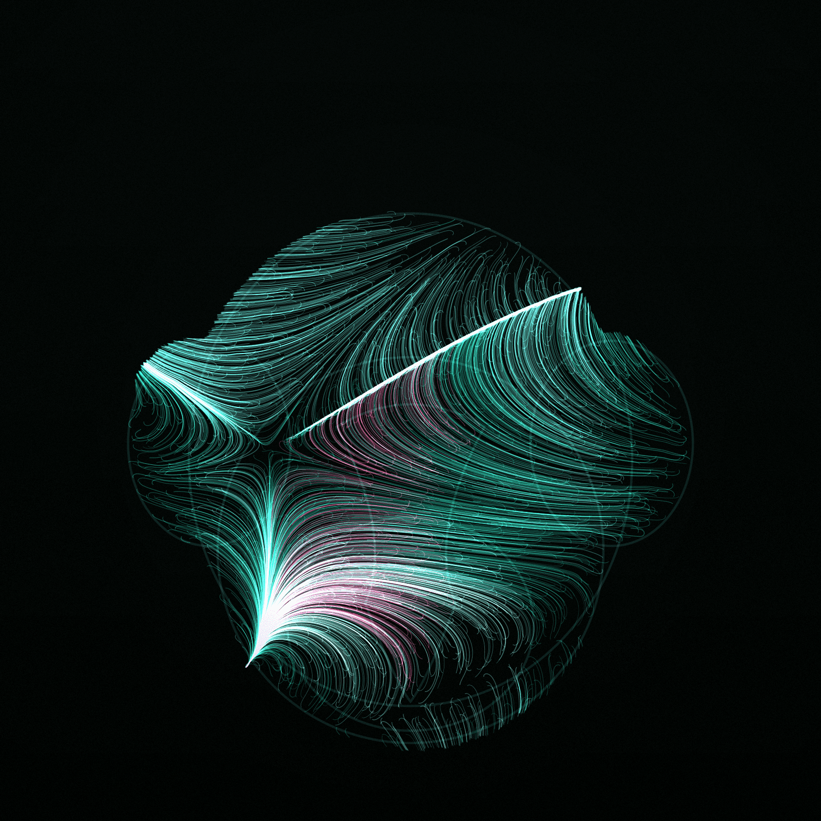 Nasalis Flow #13