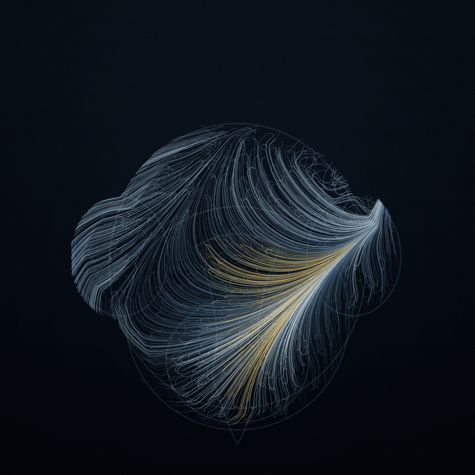Nasalis Flow #28