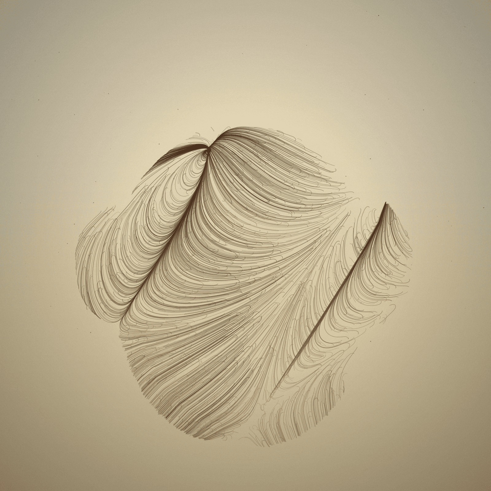 Nasalis Flow #3