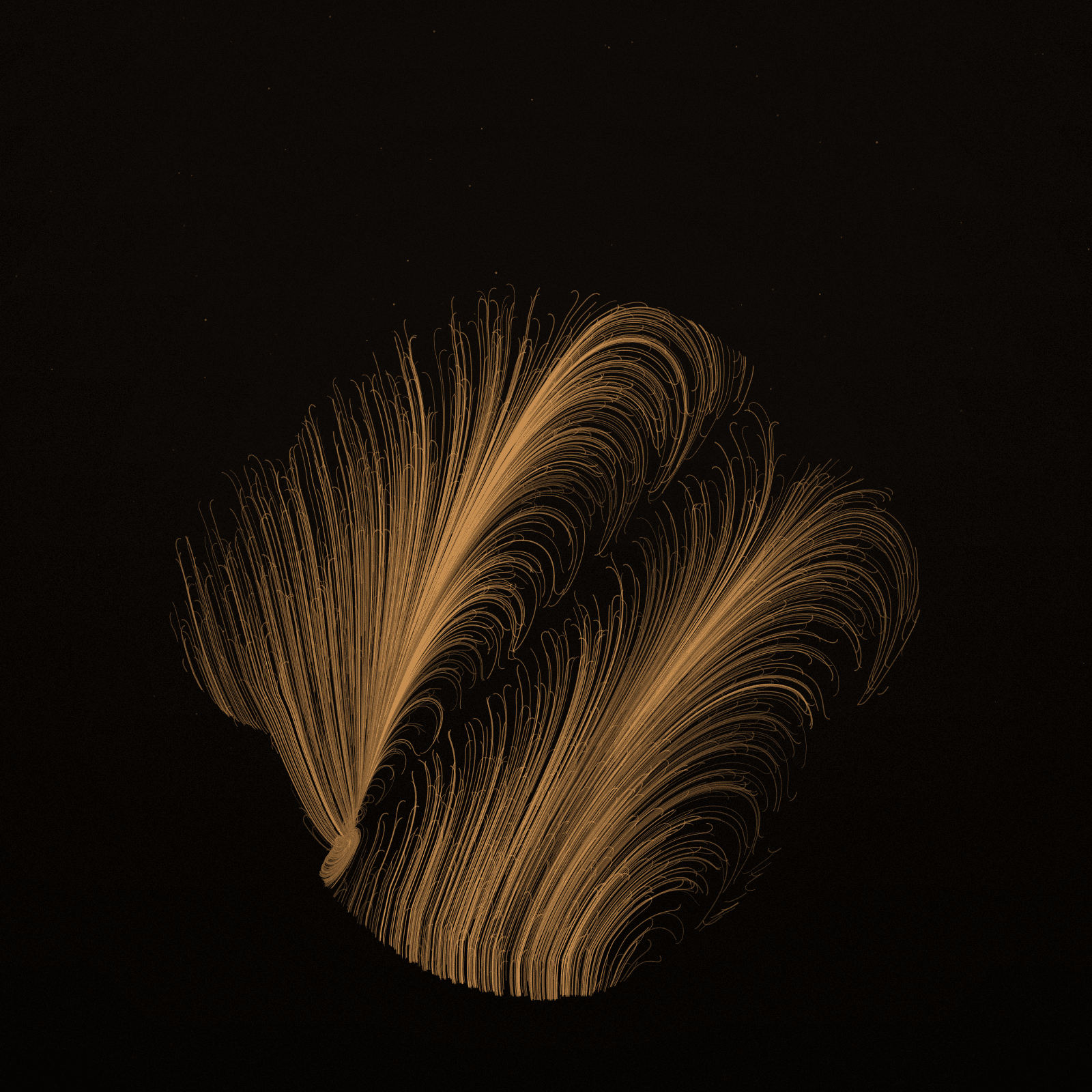 Nasalis Flow #4