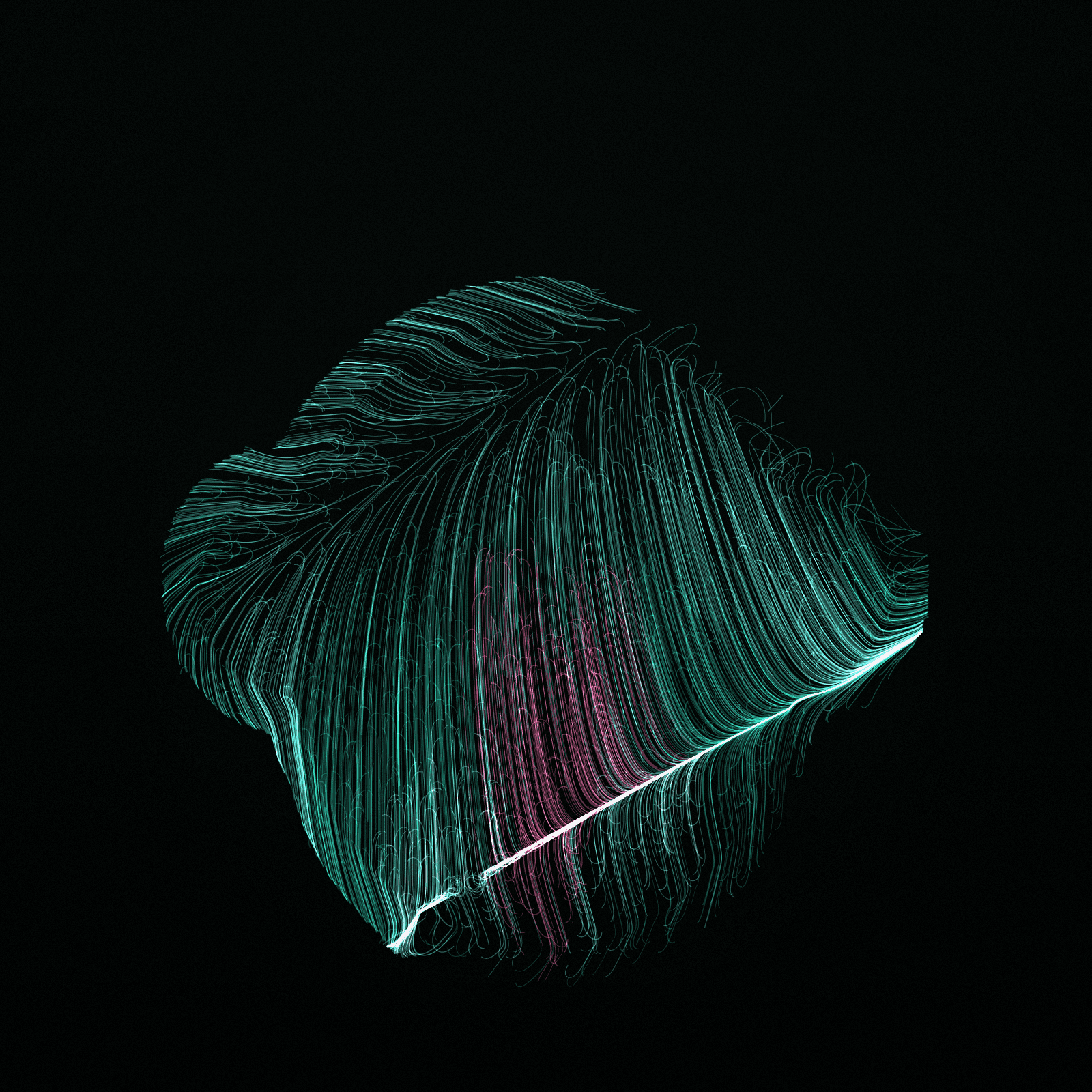 Nasalis Flow #45