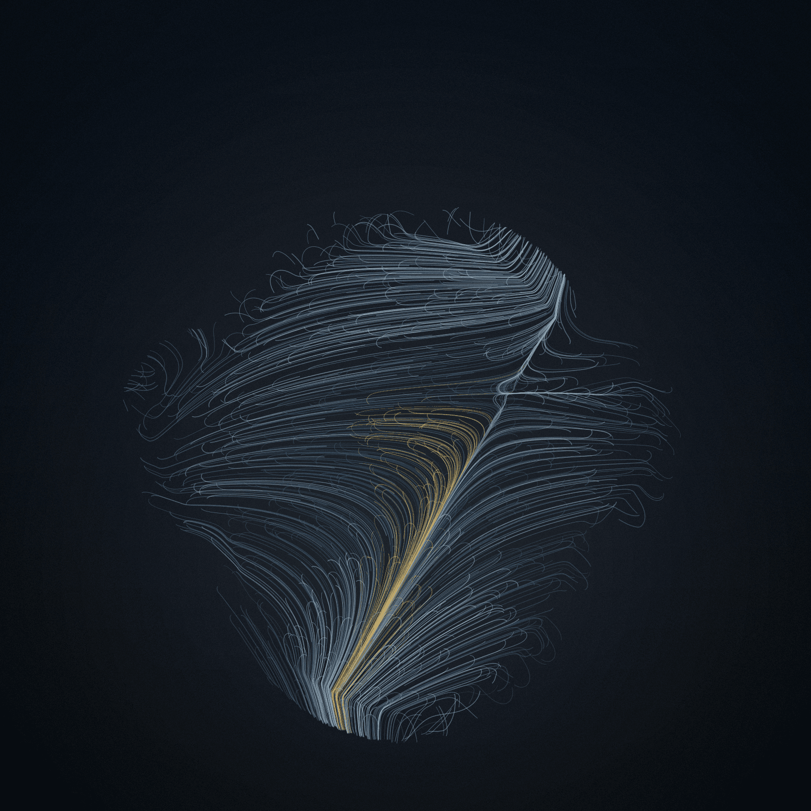 Nasalis Flow #46